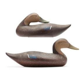 Byron Bodt (MD), Pair of Black Ducks