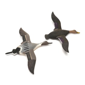 Steve Merritt (VA), Flying Pintail and Black Duck