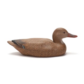 Sue Fulcher (NC), Hen Mallard
