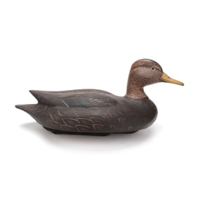 Dave Hodgman (MI), Blackduck