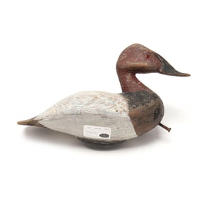 John Paxson (VA), Canvasback in the Manner of Lee Dudley