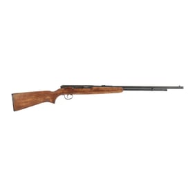 Remington 550-1 .22 Cal. Semi-Automatic Rifle