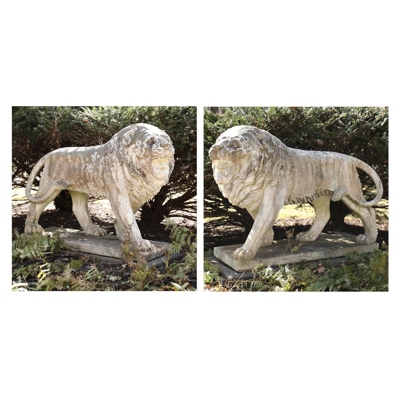 Pair of Palatial Carved Marble Lion Statues (1 of 14)