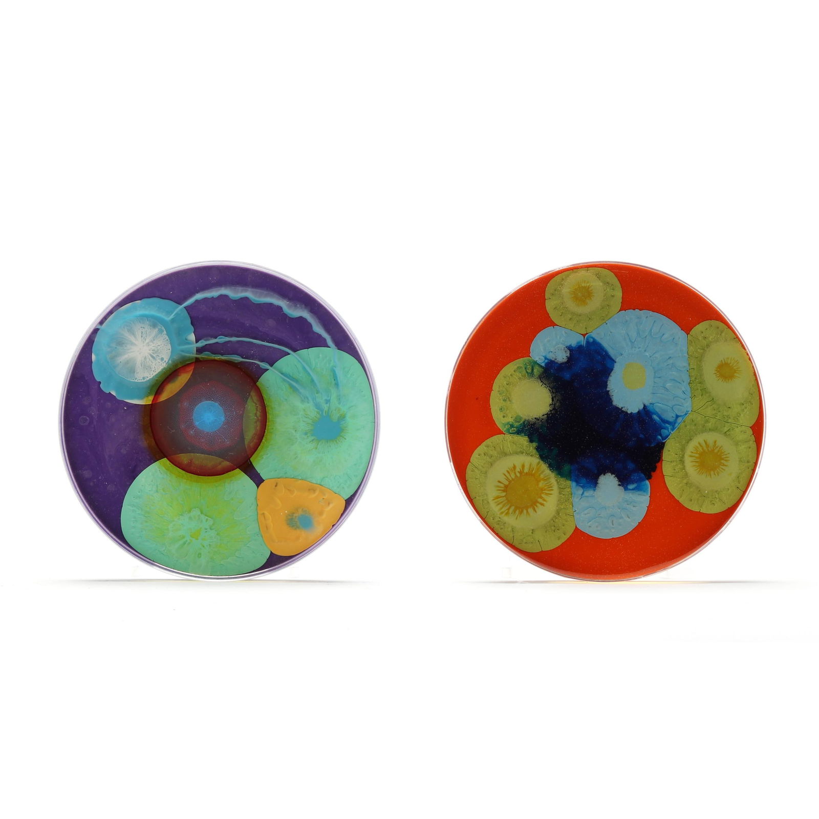 Klari Reis (American, b. 1977),  Bellow  and  Erupt , Two Petri Dish Paintings (1 of 9)