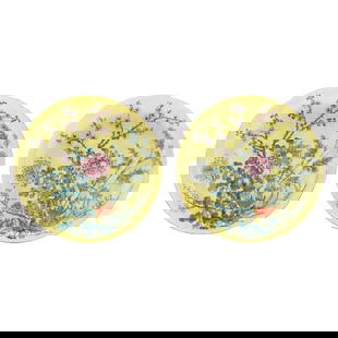 A Pair of Chinese Yellow Ground Famille Rose Plates: A Pair of Chinese Yellow Ground Famille Rose PlatesQing dynasty (1644-1912), 19th century, porcelain with yellow glazed ground hand painted with a garden of auspicious flora and fauna including chrysa