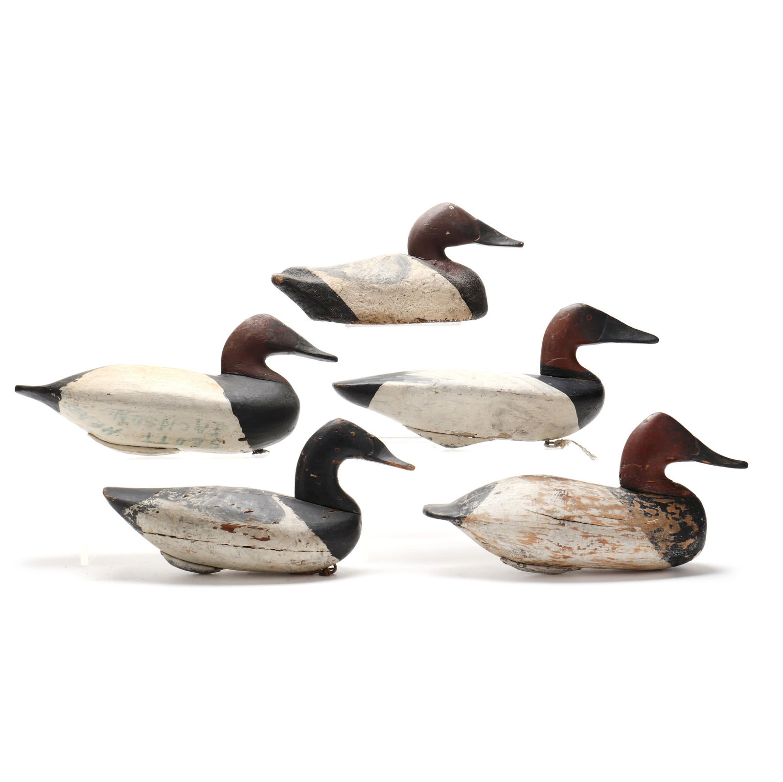 Five Upper Bay Canvasbacks (1 of 19)
