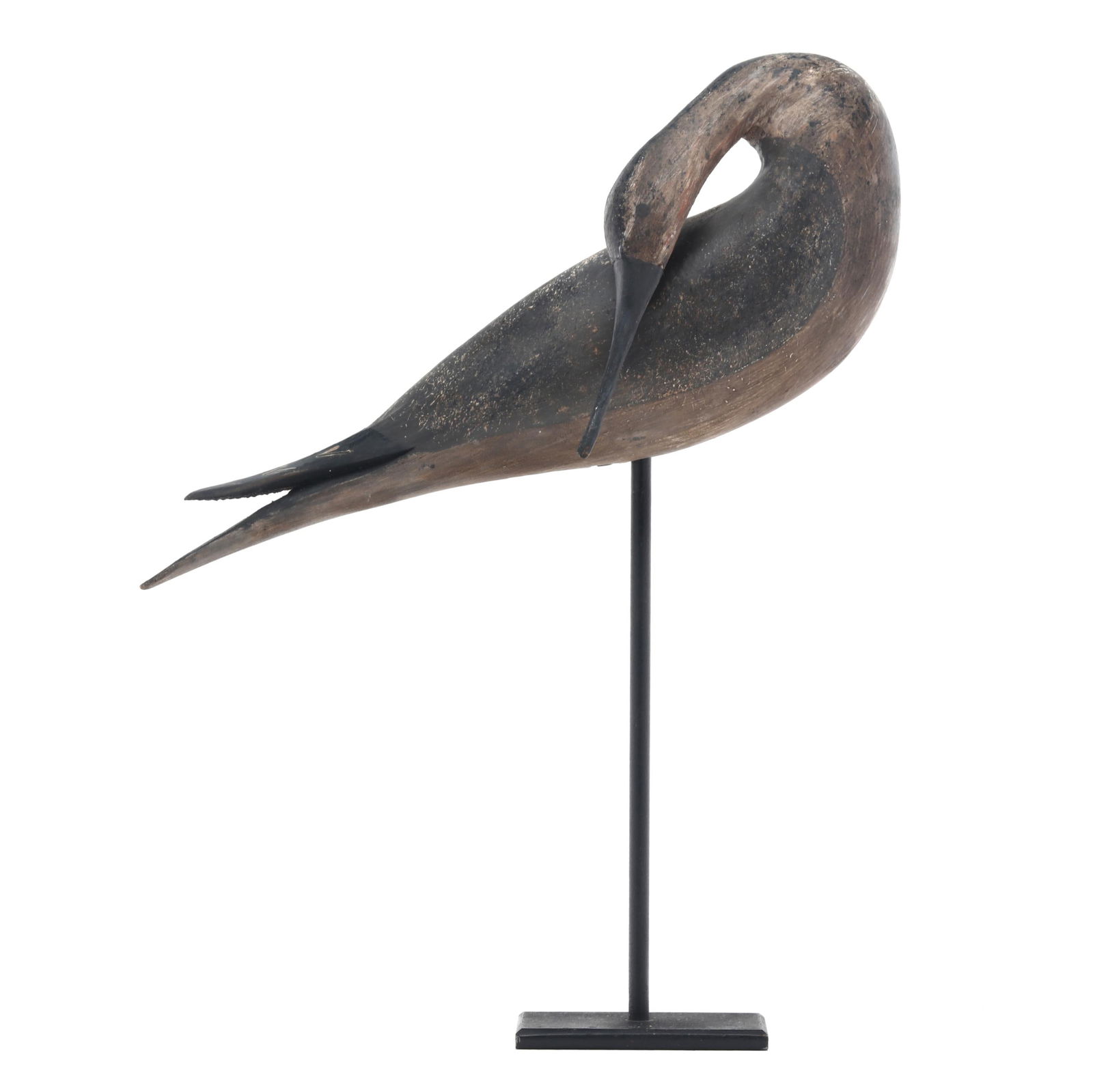 Bruce Bieber (NJ), Preening Yellowlegs (1 of 9)