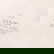 item-208670813=5