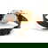 item-208960743=2