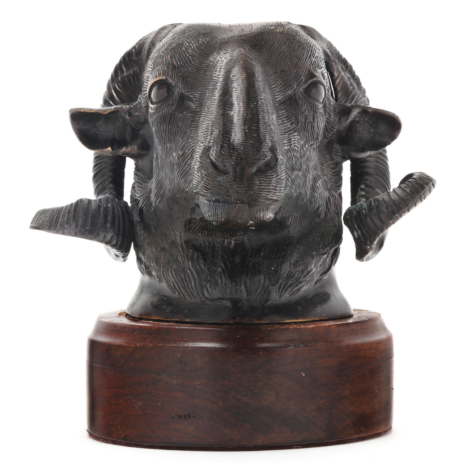 Patinated Bronze Model of a Ram's Head
