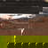 item-209137535=7