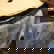 item-209137750=6