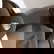 item-210491724=5