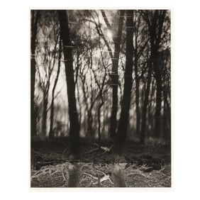 Caroline H. Vaughan (NC, b. 1949), Image from a Past Life