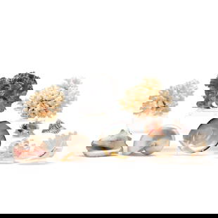 Group of Coral and Shell Specimens: Group of Coral and Shell Specimensa group of (10) specimens including a nautilus shell (6 3/4 in.); a polished giant clam shell half (7 in. across); a polished Brown Lip Mother of Pearl oyster shell h