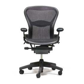 Don Chadwick and Bill Stumpf, Aeron Office Chair