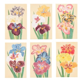 A Suite of Six Framed and Hand-Painted Iris Studies