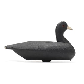 Ned Burgess (NC, 1868-1958), Published Coot