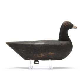 Bob Morse (NC, 1881-1971), Published Coot