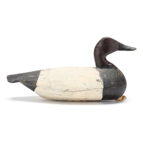 Ned Burgess (NC, 1868-1958), Canvasback