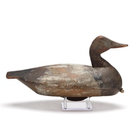Ned Burgess (NC, 1868-1958), Winded Head Canvasback
