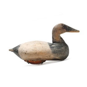 Will Wright (NC, 1875-1958), Published Canvasback