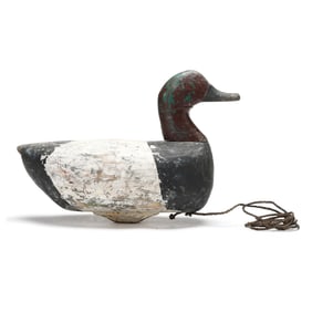 Cecil O'Neal (NC, 1876-1958), Canvasback