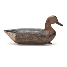 Van Buren Griggs (NC, 1880-1963), Hen Pintail