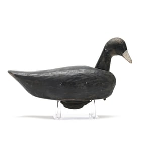 Allen Tillet (NC, 1906-1981), Roothead Coot