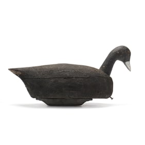 Clay Tillet (NC, 1913-1992), Published Roothead Coot