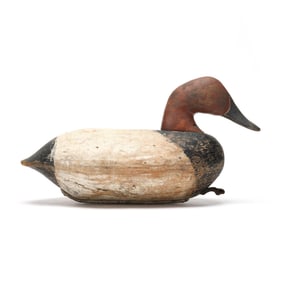 Early Currituck Canvasback