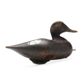Lee Dudley (NC, 1860-1942), Widgeon