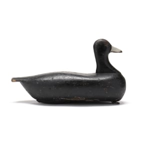 George Waterfield (NC, 1885-1926), Coot