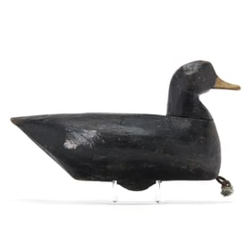 Joe Perry (NC, 1893-1981), Black Duck