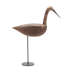 Early Published Cedar Island Curlew
