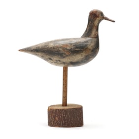 Early Long Island Black Bellied Plover