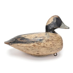 Doug Jester (VA, 1876 - 1961), Bufflehead
