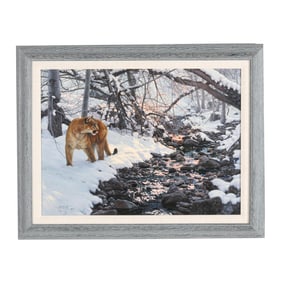 Tim Cox (American, b. 1957), Mountain Lion in Snow