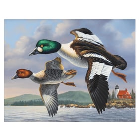 Guy Crittenden (American),  Goldeneye Over Eagle Point Lighthouse