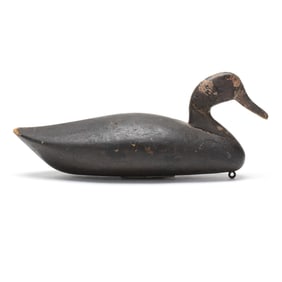 Early Blair School Black Duck