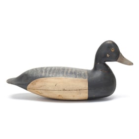 Harry V. Shourds (NJ, 1861-1920), Bluebill