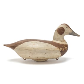 Taylor Boyd (MD, 1856-1944), Rare Hen Old Squaw