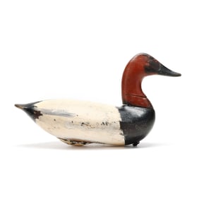 Taylor Boyd (MD, 1856-1944), High Head Canvasback