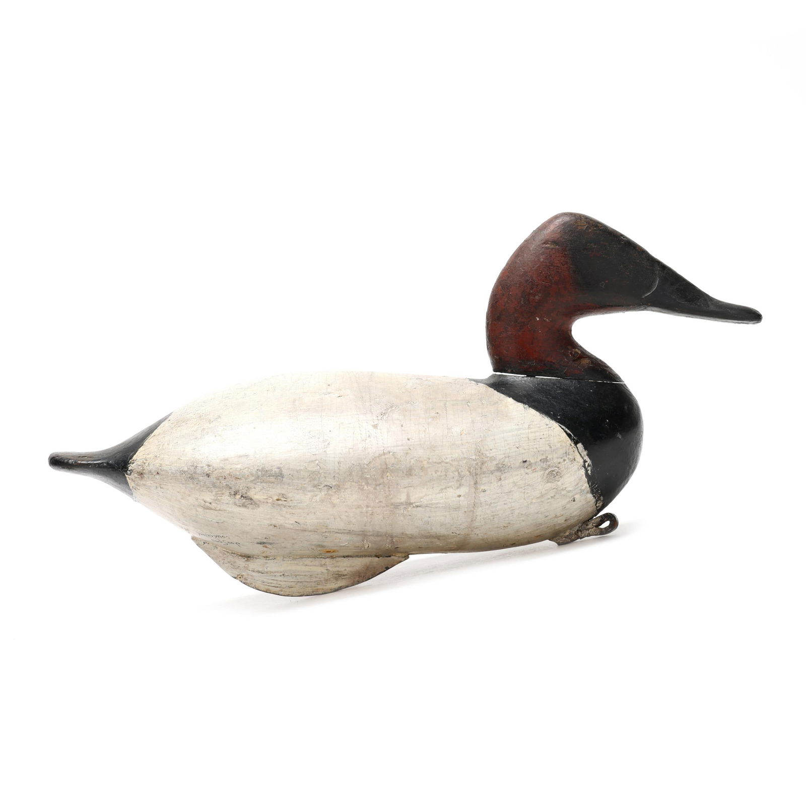 Scott Jackson (MD, 1852-1929), Published Canvasback (1 of 8)