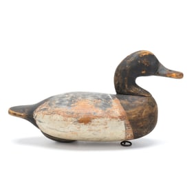 Joseph Dye (MD, 1870-1931), Bluebill from the Henry Fleckenstein Collection