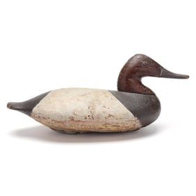 George Washington Barnes (MD, 1862-1915), Canvasback