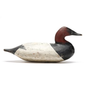 George Washington Barnes (MD, 1862-1915), Canvasback