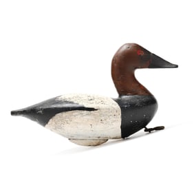 Charles Nelson Barnard (MD, 1876-1958), Canvasback