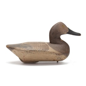 Will "Snake" Heverin (MD, 1860-1951), Hen Canvasback