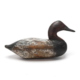 John "Daddy" Holly (MD, 1818-1892), Canvasback